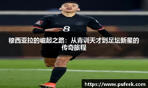 威廉希尔WilliamHill中文