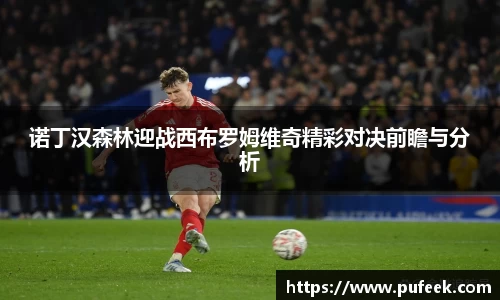 诺丁汉森林迎战西布罗姆维奇精彩对决前瞻与分析